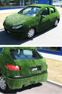 Car Covered with Grass