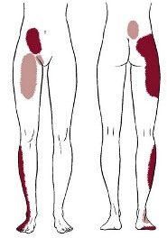 PhysiatryNotYourTypicalFieldOfMedicineSacroiliacJointDysfunction PhysiatryNotYourTypicalFieldOfMedicineSacroiliacJointDysfunction