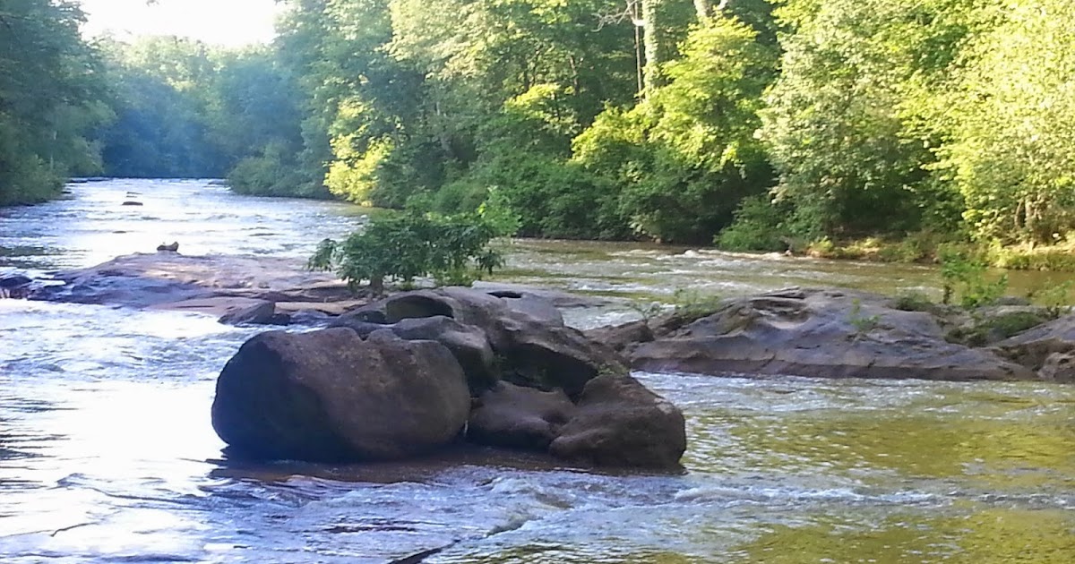 Positively At Home In Yellow River Park in Snellville