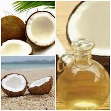 Nias Tanoniha Tuha Harimao Moroi Ba Do Ene Cara Membuat Vco Virgin Coconut Oil