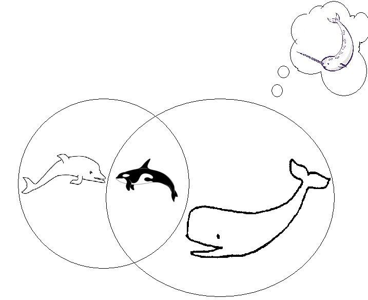 run zombies chase you venn diagrams have authority narwhal unicorn venn diagram