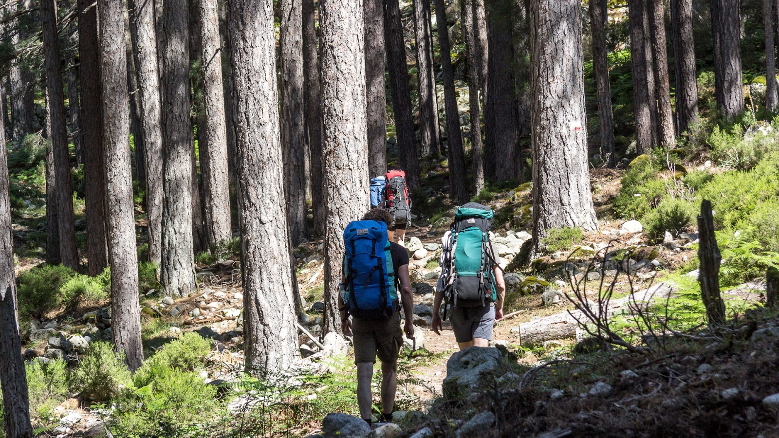 Yee Haw Dudi In Texas