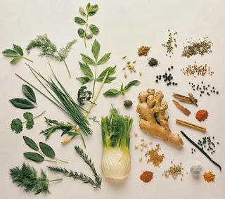 Healthy Herbs 