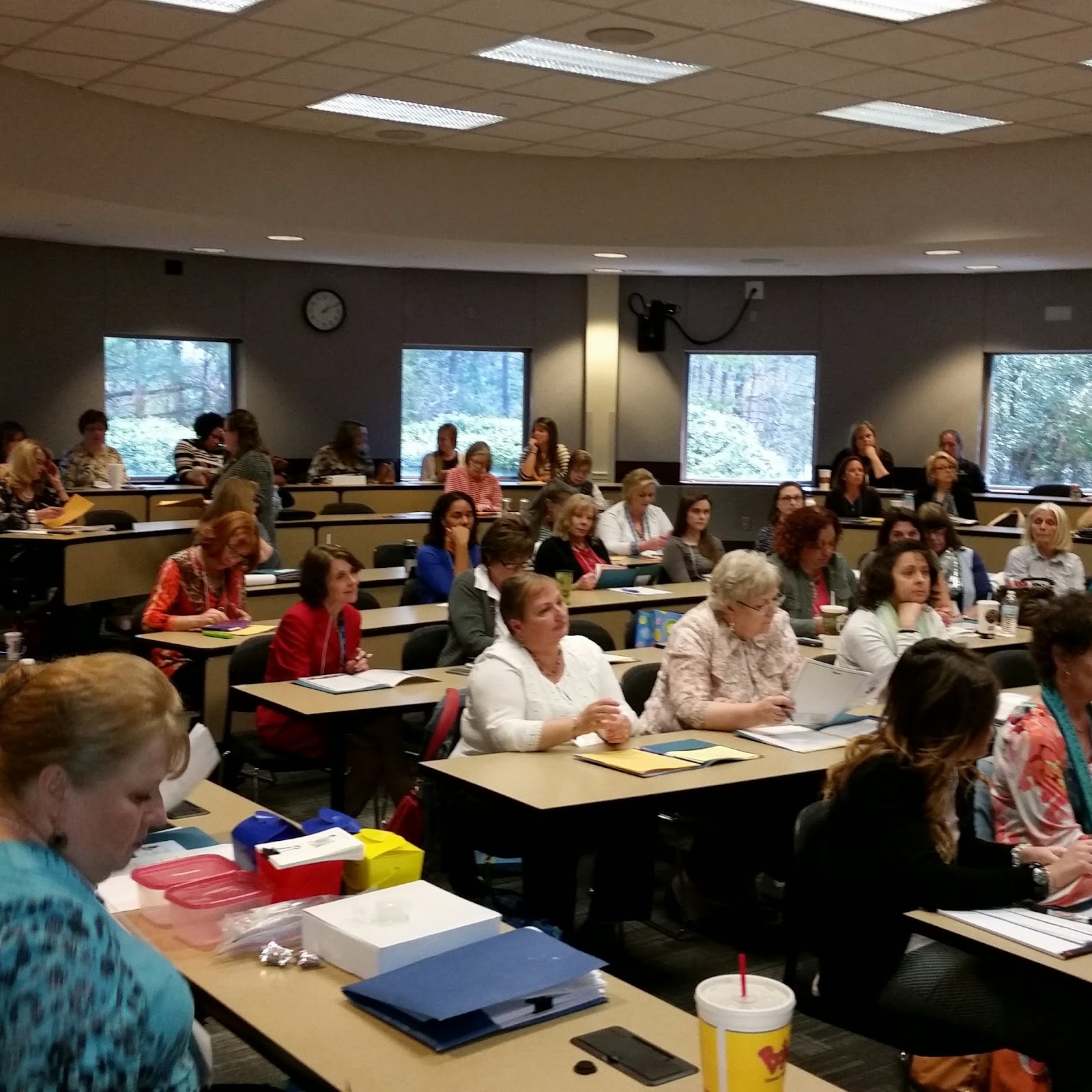 North Carolina Child Care Health Consultant Association 2015