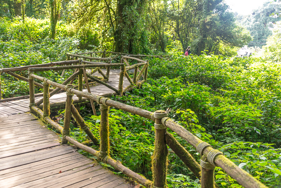 Doi Inthanon National Park