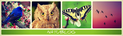 NATUBLOG