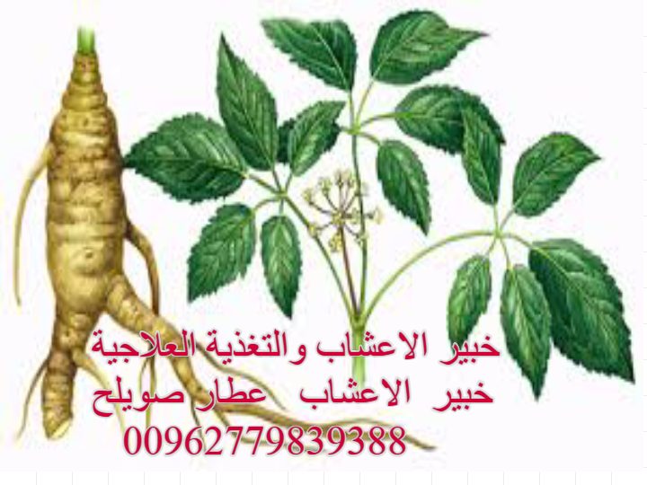مارس 2015 | الاعشاب الطبية العطار 30 عام من الخبرة