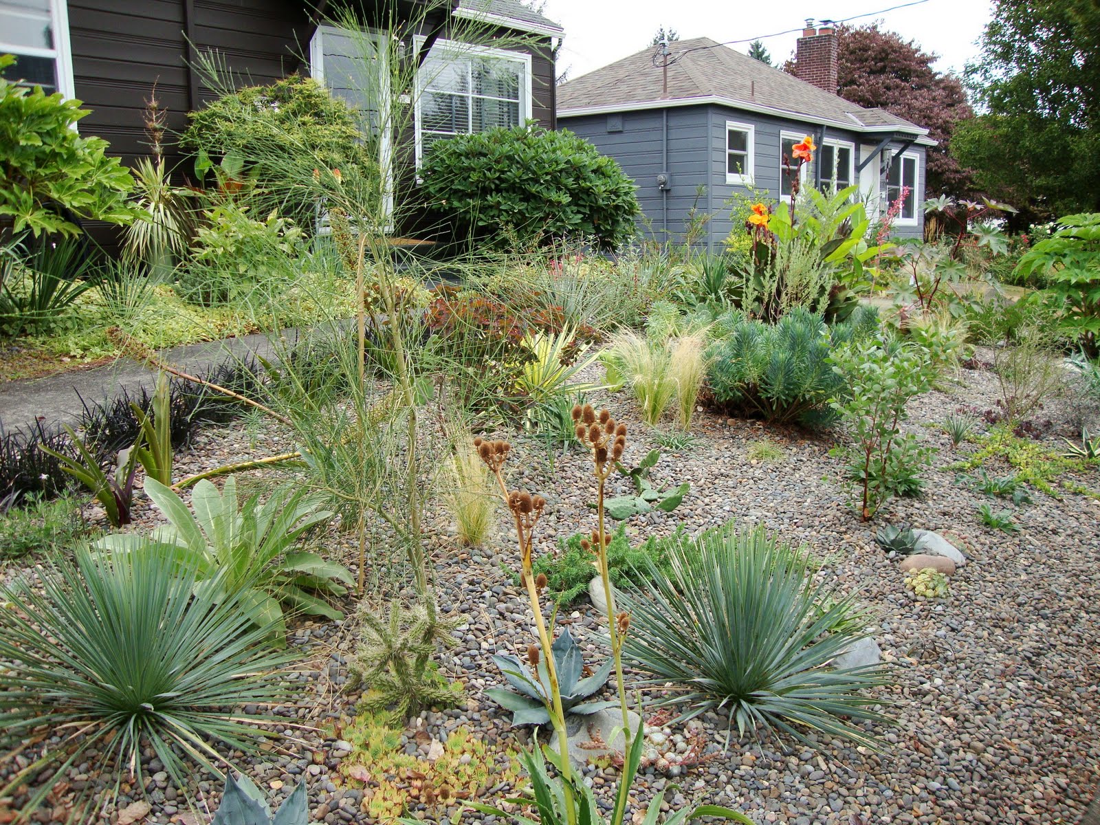 Ideas For Landscaping Learn Simple Landscaping Ideas For Small Houses