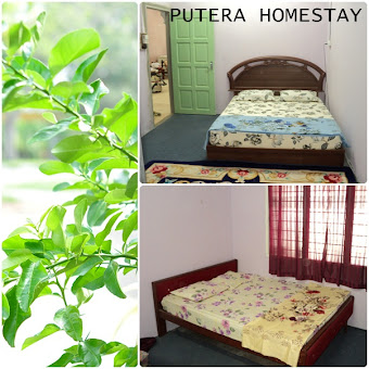 PUTERA HOMESTAY