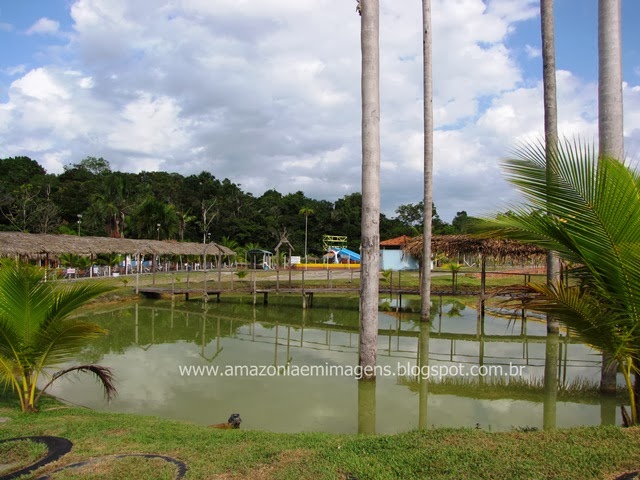 AMAZÔNIA EM IMAGENS Rio Preto da Eva