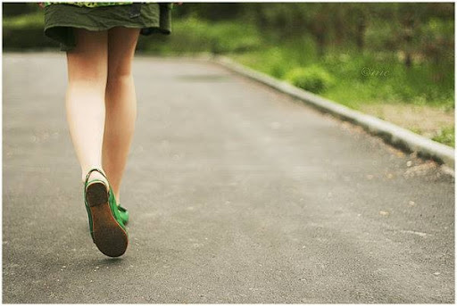 Sự lựa chọn của gió Sự lựa chọn của gió