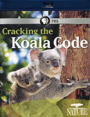 Koala Code-HD