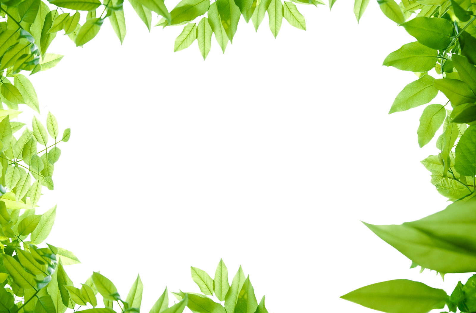 Картинки природа прозрачный фон Картинки природа прозрачный фон