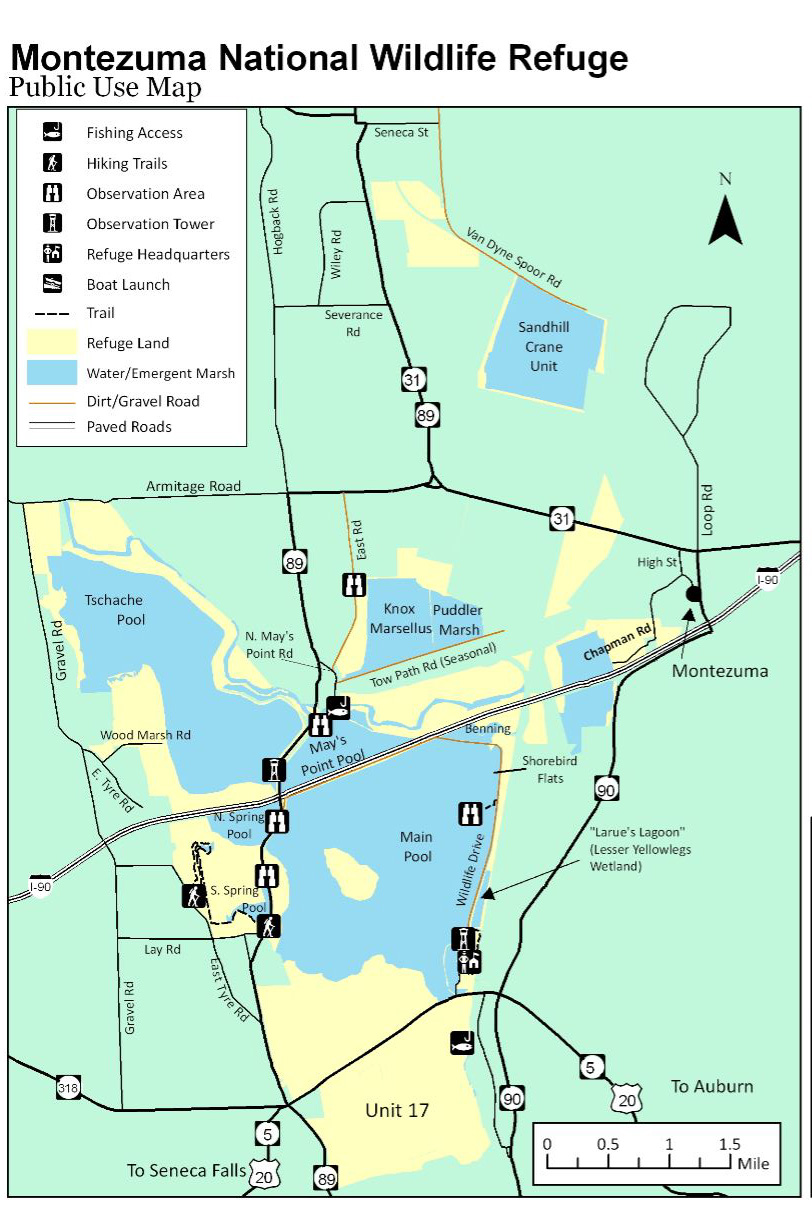 My Kayuta Lake Montezuma National Wildlife Refuge
