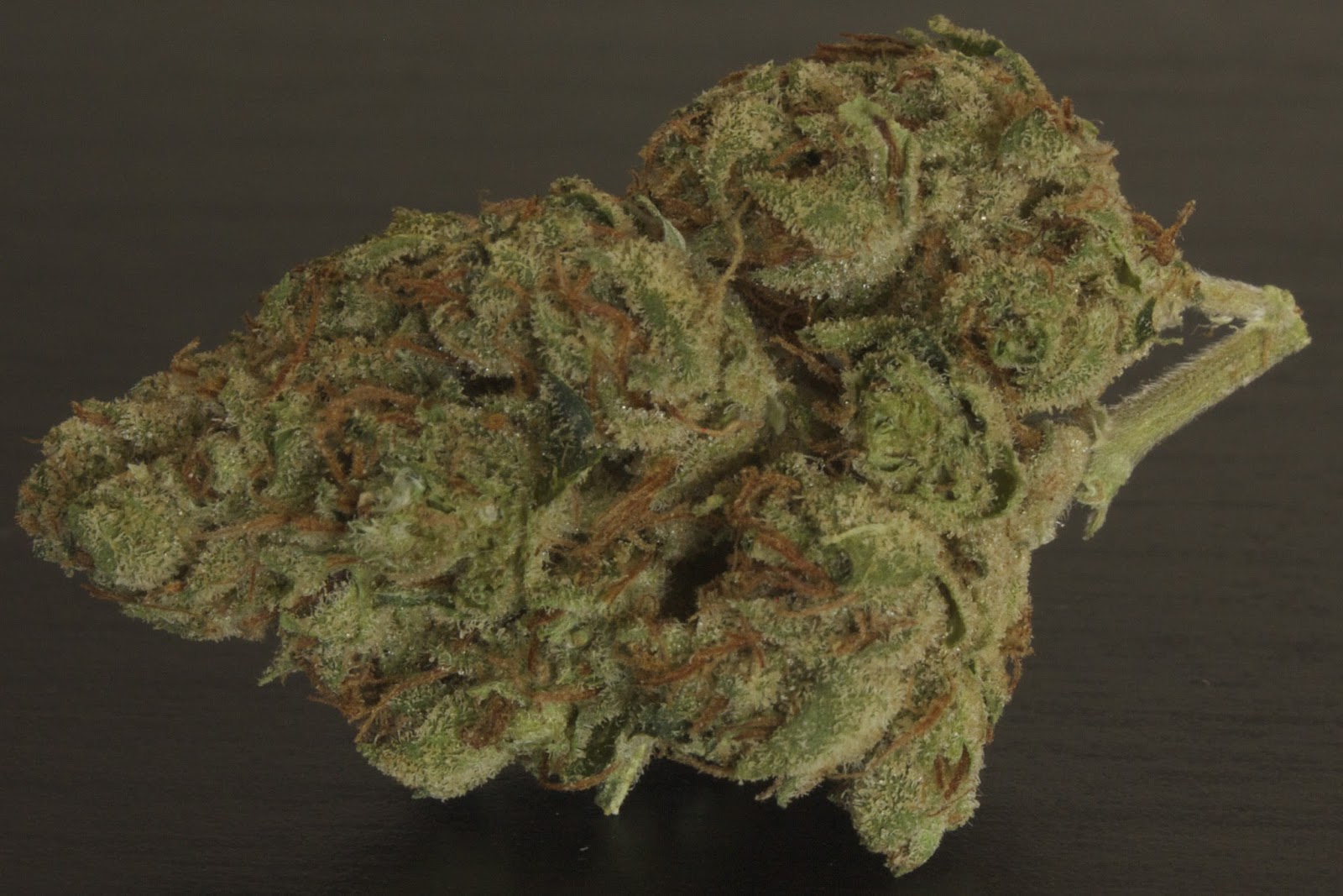 Master Kush (Hybrid Indica > Sativa)