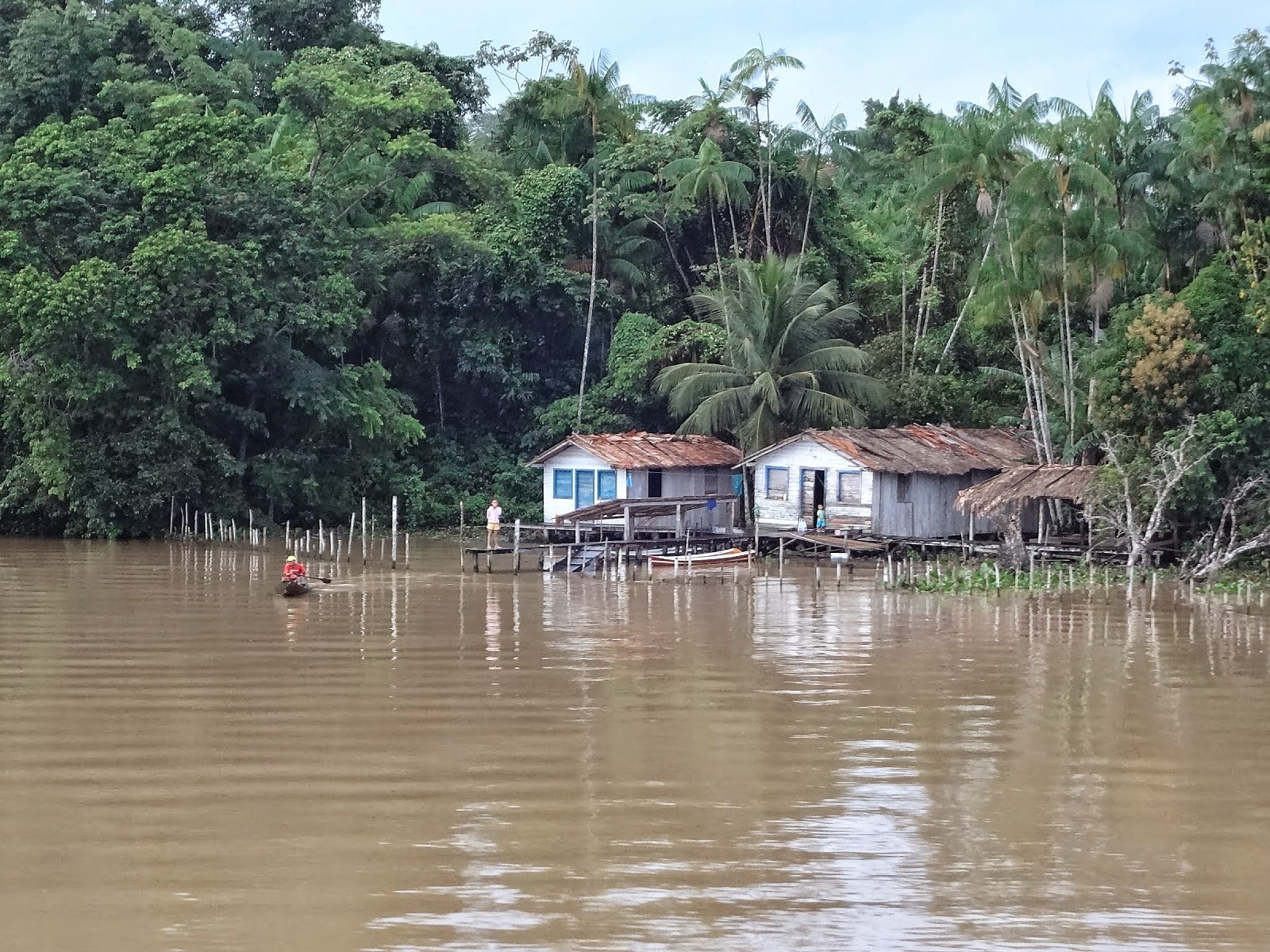 Viagem de barco de Santarém a Belém Uma viagem de barco e rede de Manaus a Belém, passando em Alter do Chão: botos e outros bichos, índios, selva, praias, museus e encontros de muitas águas!