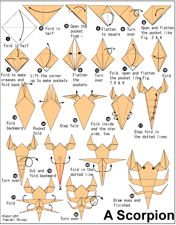 origami instructions for kids
