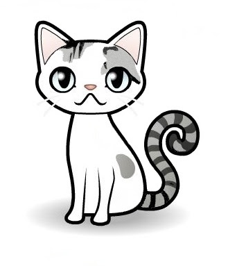 kitty avatar