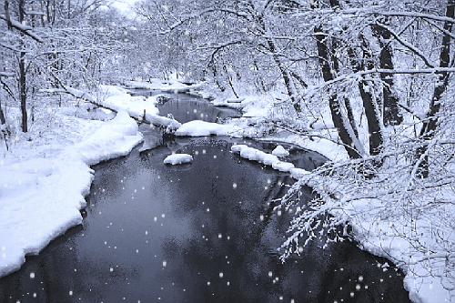 wawjol74: Pada śnieg