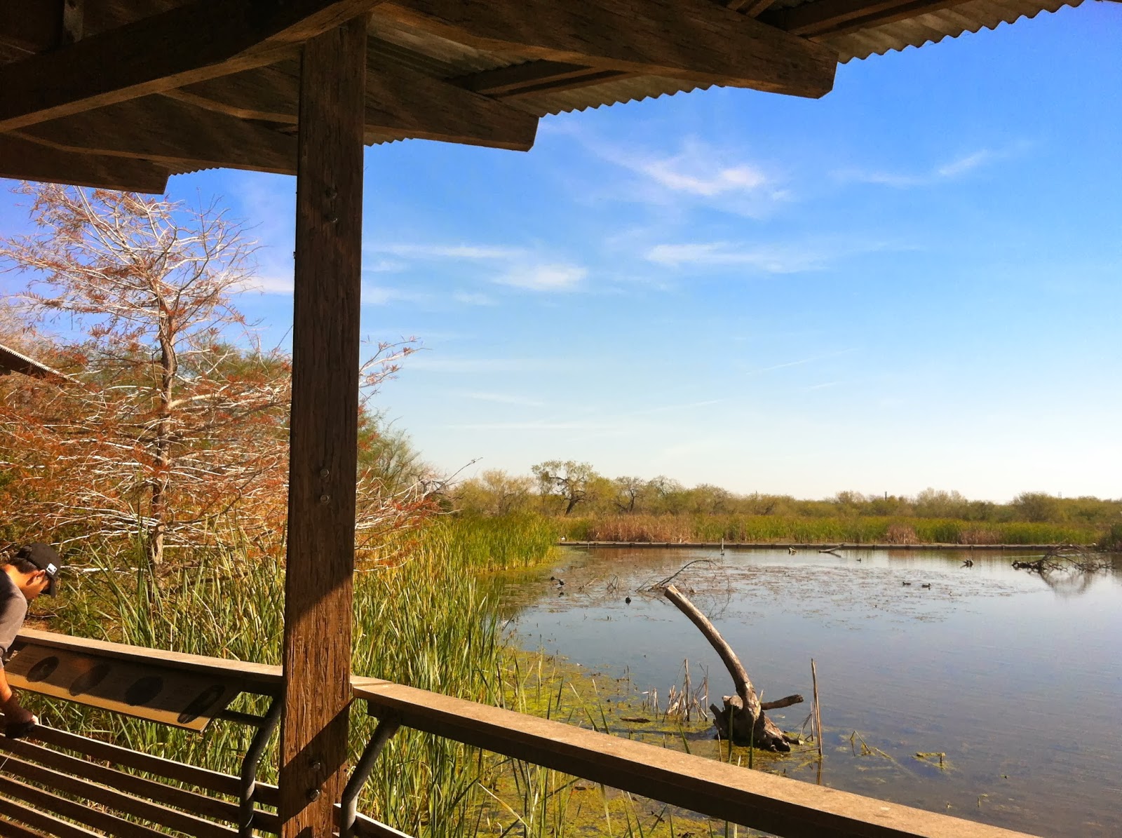 life as a sias Estero Llano Grande State Park