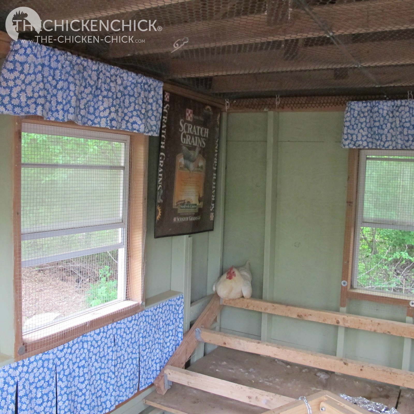 Virtual Tour de Coop The Chicken Chick®