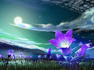 flower-under-night-sky-wallpaper