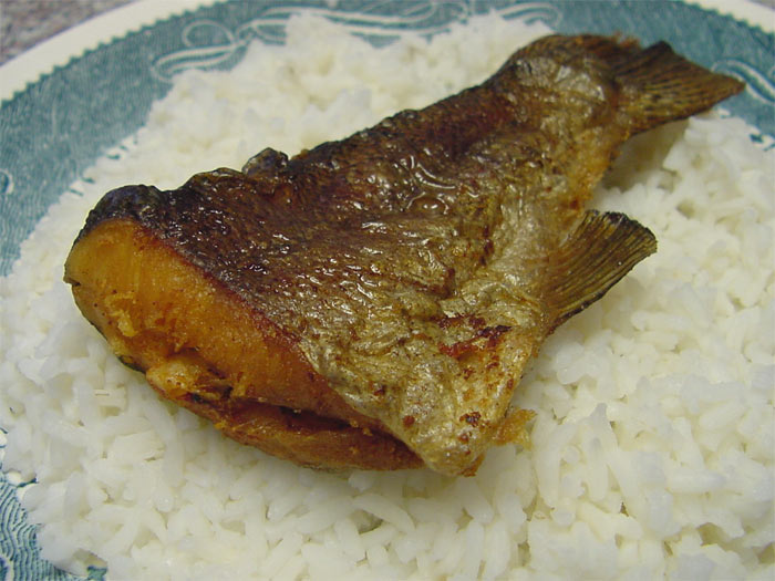 Rice Fish