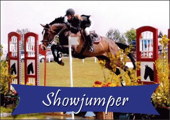 Showjumping Horses