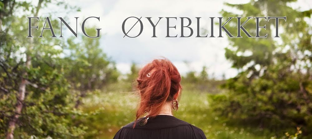 Anne Odeh : Fang øyeblikket