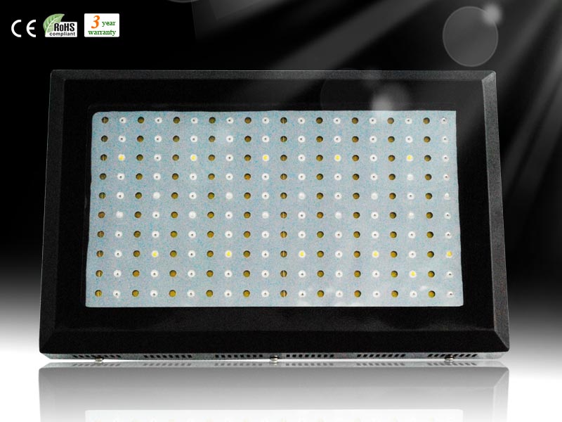 Hydroponicslights Do LEDs Lose Light Intensity with Time?What do you think about