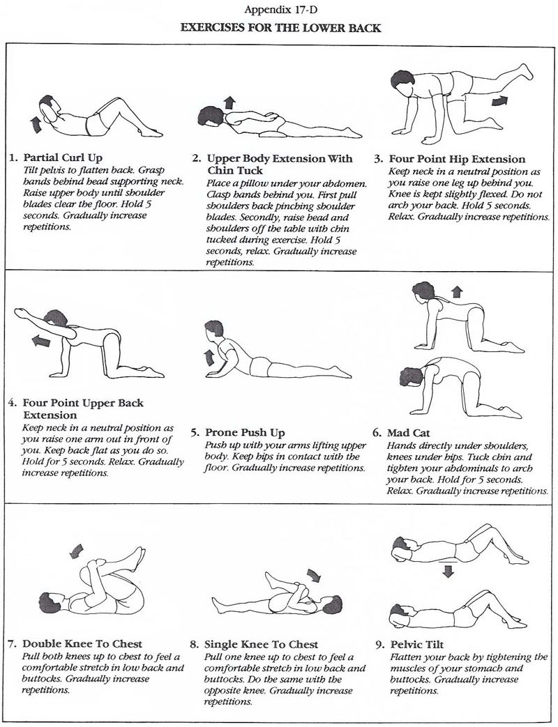 Back Injury Rehabilitation Program