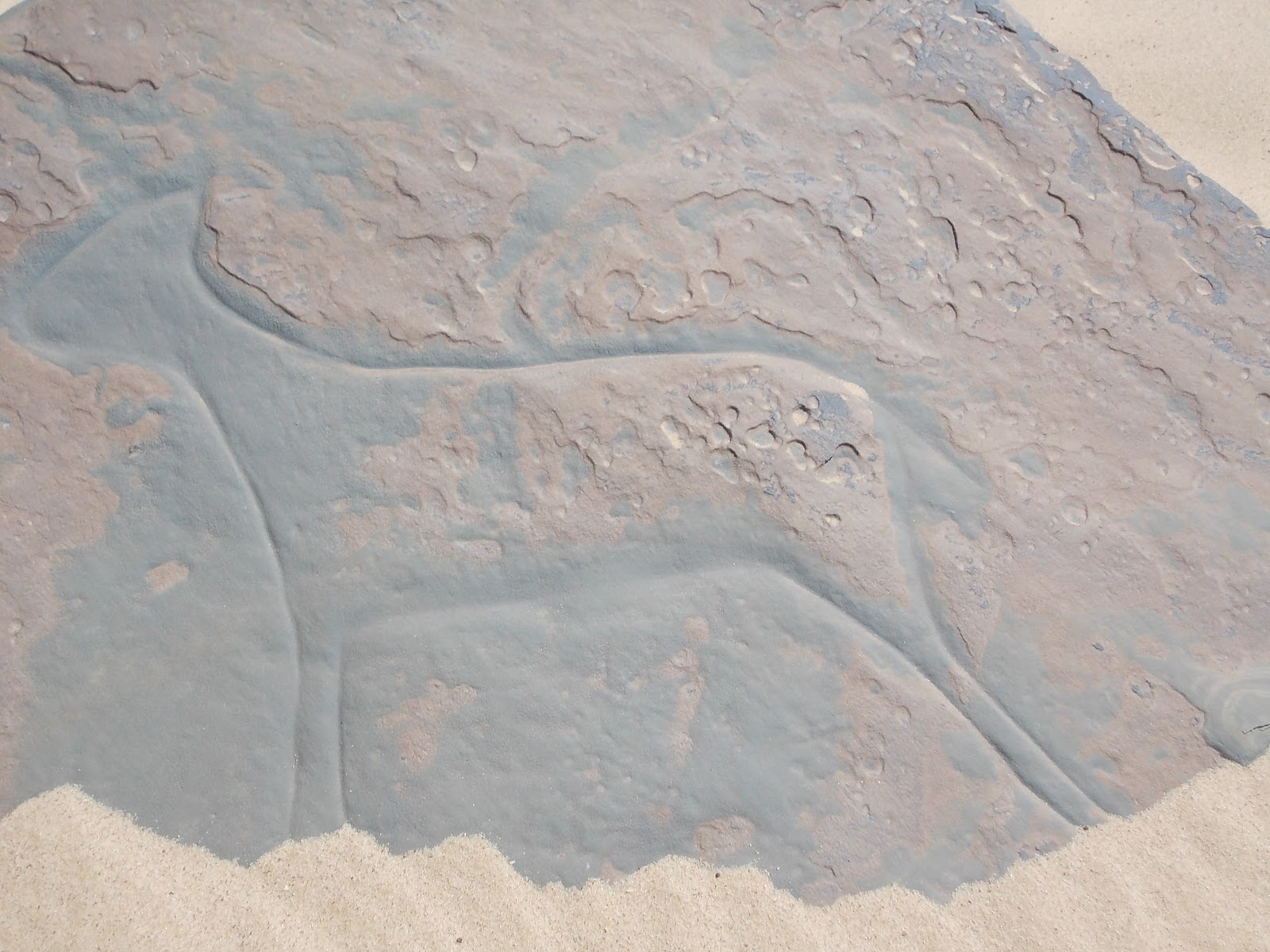 Marokko Fruhjahr 2014 Februar 2014