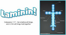 Laminin Story