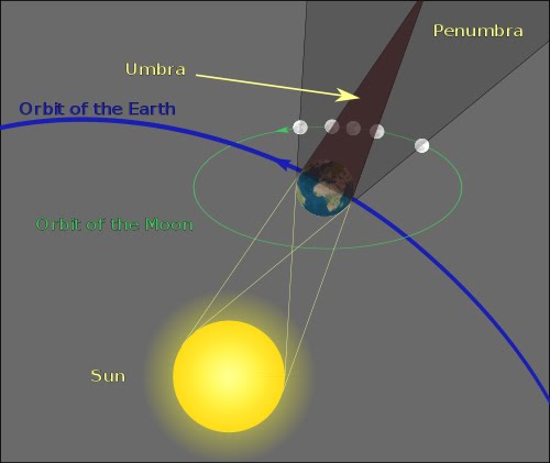 Does the Moon orbit the Sun?