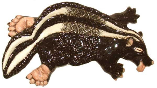 Abq Jew ® Blog: Dead Skunk in the Middle of the Road