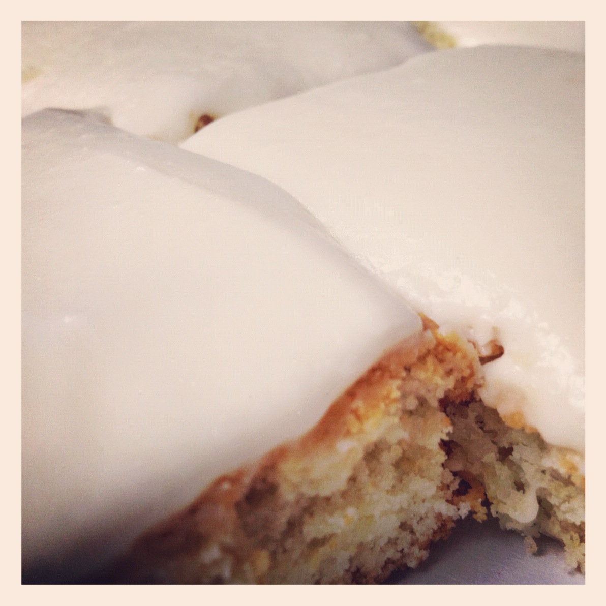 michael + whitney sugar cookies in a pan