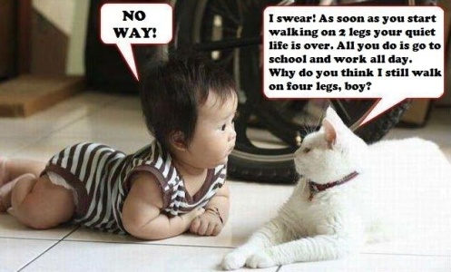 Funny Pictures Gallery Funny Kids Quotes Funny Kid Quotes Funny Quotes About Kids