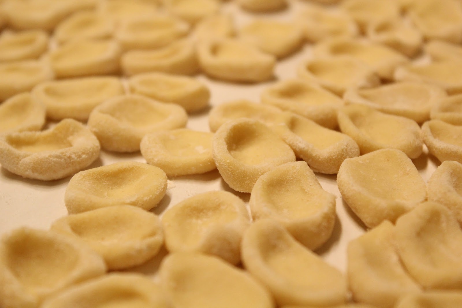 Orecchiette Bolognese Homemade Pasta for Cook It! 2012 Yankee