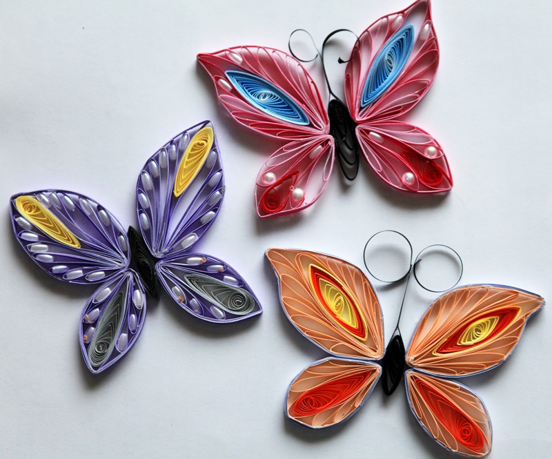 beautiful quilled butterflies art craft projects