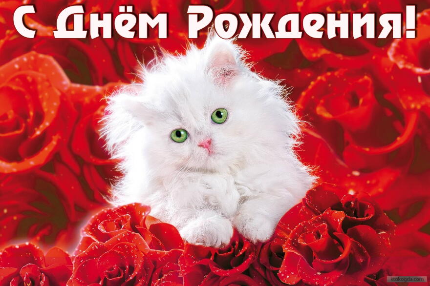 Сценарий дня русалки Сценарий дня русалки