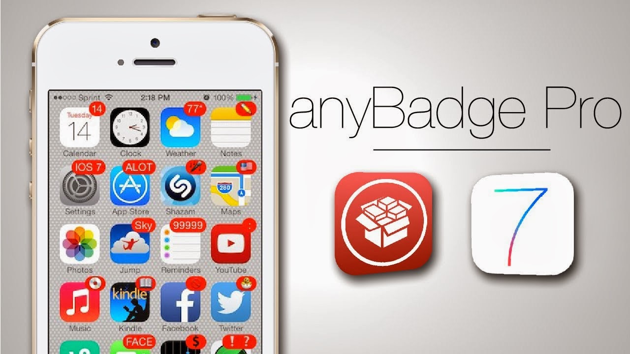 AnyBadge Pro: Lets You Customize Notification Badges