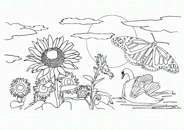 Nature Coloring Pages Printable
