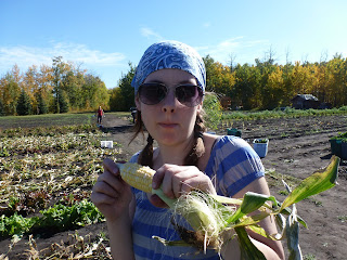 Lisa enjoys an ear of corn straight from the stalk