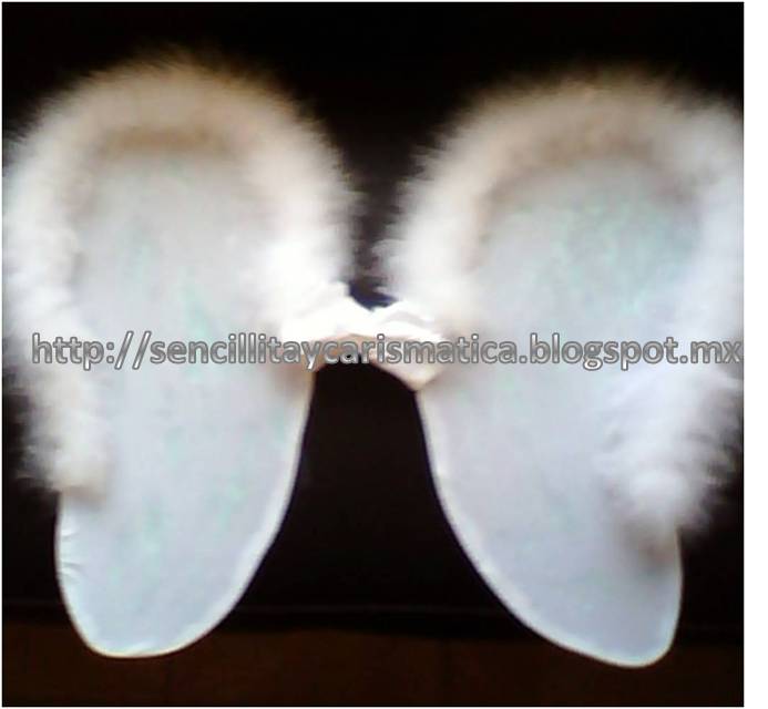 Sencillita Y Carismatica Como Hacer Alas De Angel