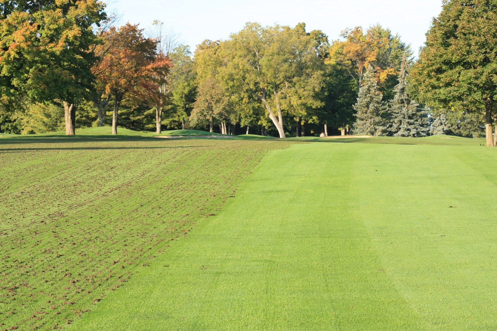 Meadowbrook Country Club Golf Course Maintenance Fairway Aerification