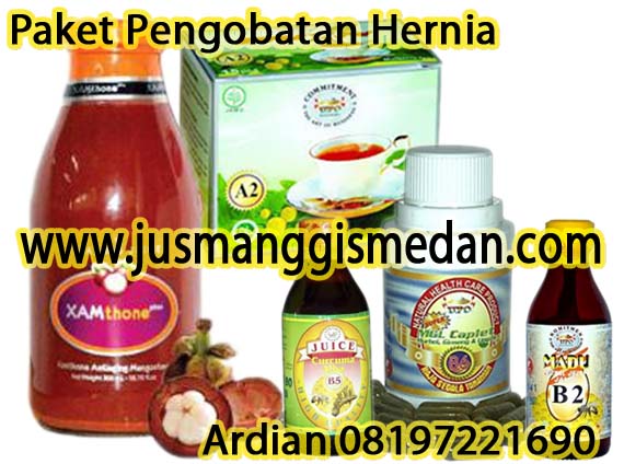 Paket+Pengobatan+Hernia.jpg