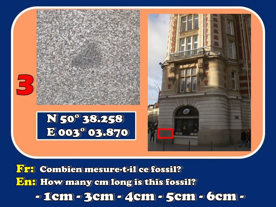 GC4Y6XG RBY 7 Urban fossils in Lille (Earthcache) in HautsdeFrance