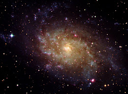 M33