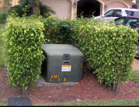 Centerpointe Communicator: Landscaping around utility boxes and lines