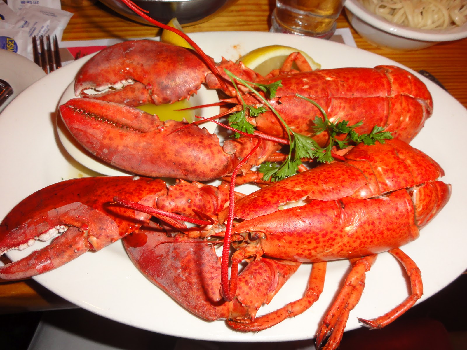 Go Gin Chow Sammy's Fish Box, City Island, NY